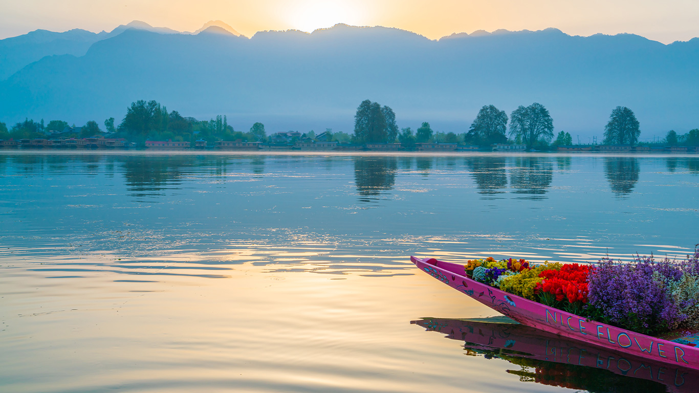 kashmir